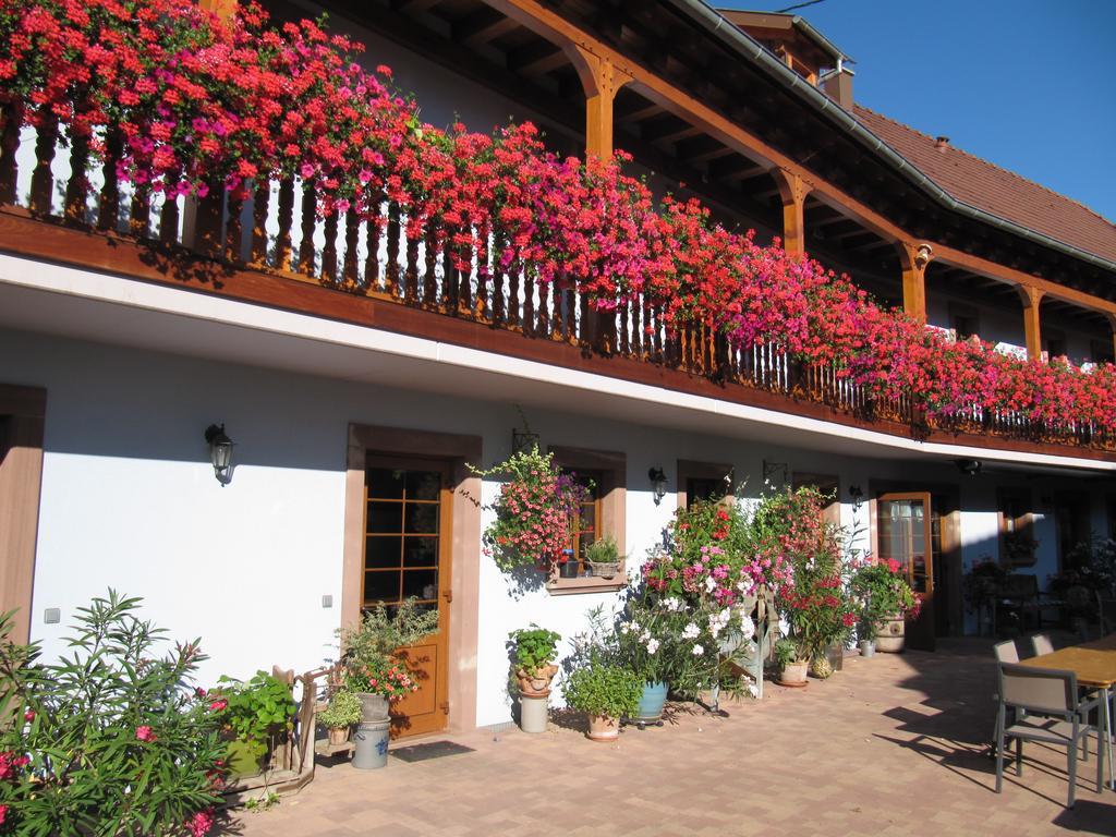 Bed and Breakfast La Ferme De Louise Hohengoeft Экстерьер фото