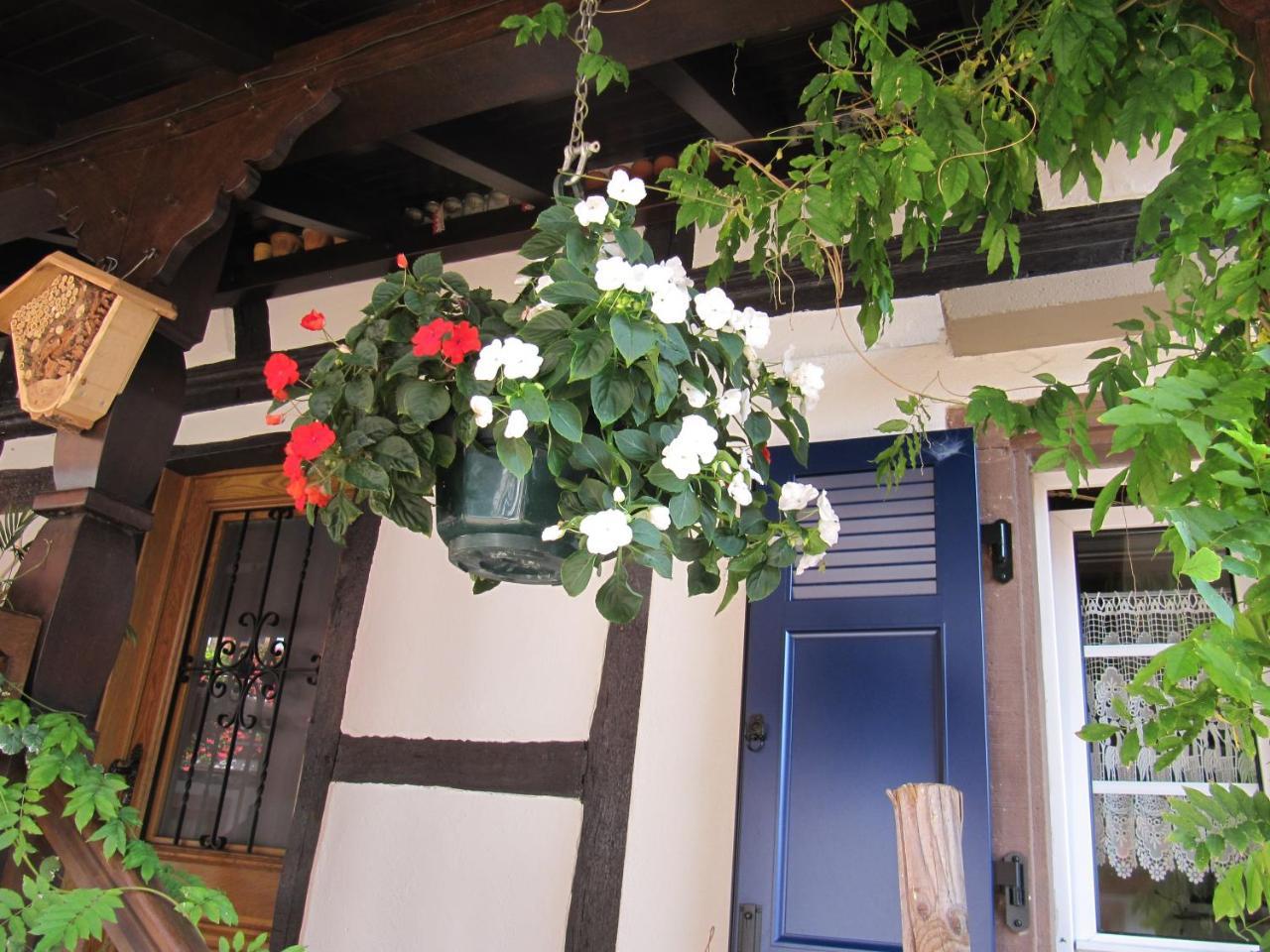 Bed and Breakfast La Ferme De Louise Hohengoeft Экстерьер фото